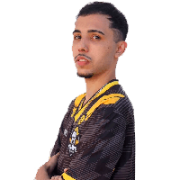 zaninZS